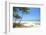 Tropical Beach with Coconut Palm-Hydromet-Framed Photographic Print