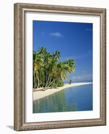 Tropical Beach with Palm Trees at Kudabandos in the Maldive Islands, Indian Ocean-Tovy Adina-Framed Photographic Print