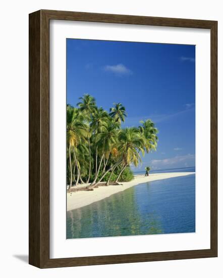 Tropical Beach with Palm Trees at Kudabandos in the Maldive Islands, Indian Ocean-Tovy Adina-Framed Photographic Print