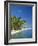 Tropical Beach with Palm Trees at Kudabandos in the Maldive Islands, Indian Ocean-Tovy Adina-Framed Photographic Print