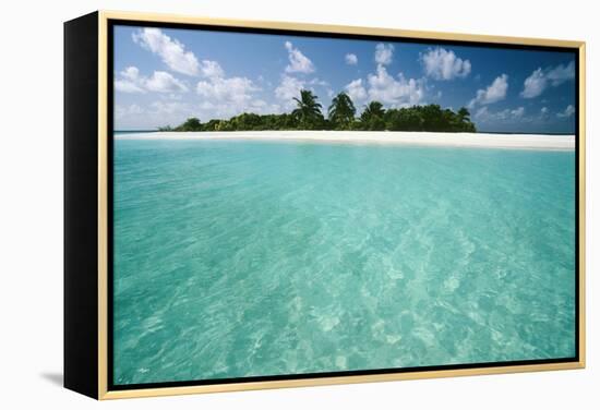 Tropical Beach-Matthew Oldfield-Framed Premier Image Canvas