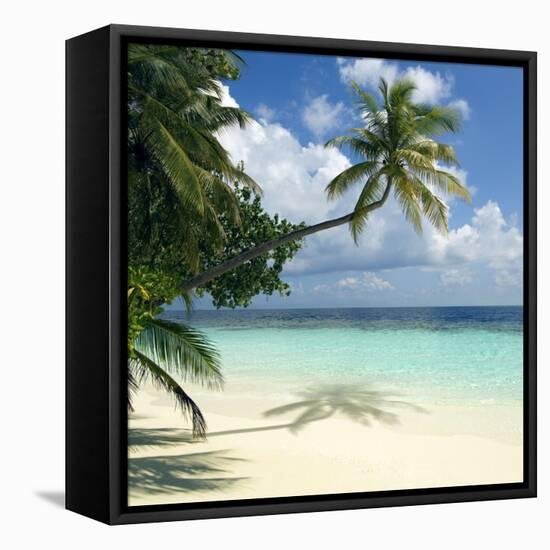 Tropical Beach-Peter Scoones-Framed Premier Image Canvas