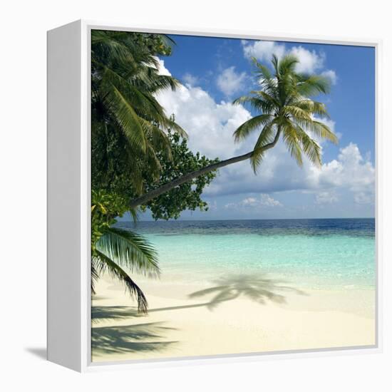 Tropical Beach-Peter Scoones-Framed Premier Image Canvas