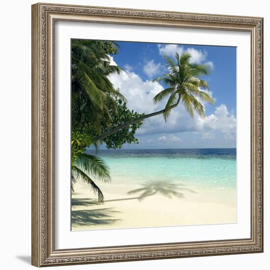 Tropical Beach-Peter Scoones-Framed Premium Photographic Print