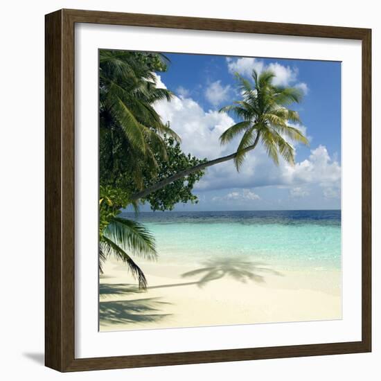 Tropical Beach-Peter Scoones-Framed Premium Photographic Print