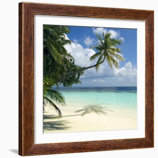 Tropical Beach-Peter Scoones-Framed Premium Photographic Print