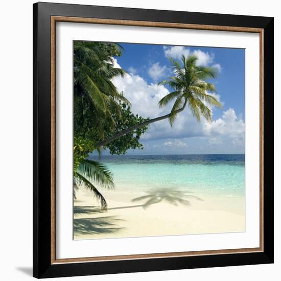 Tropical Beach-Peter Scoones-Framed Premium Photographic Print