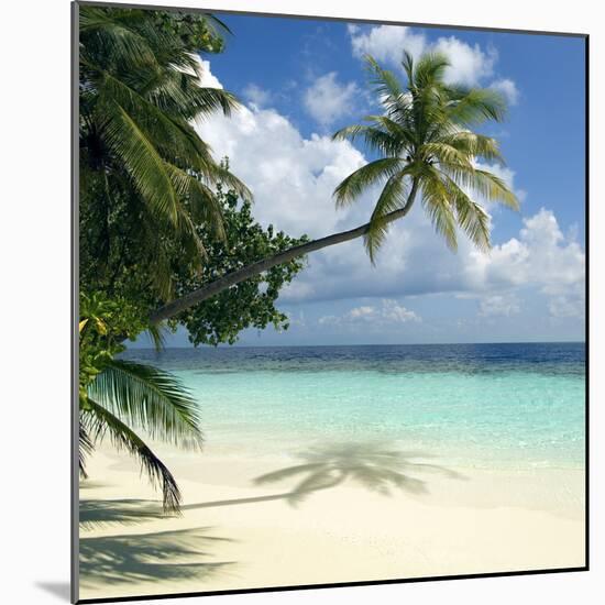 Tropical Beach-Peter Scoones-Mounted Premium Photographic Print