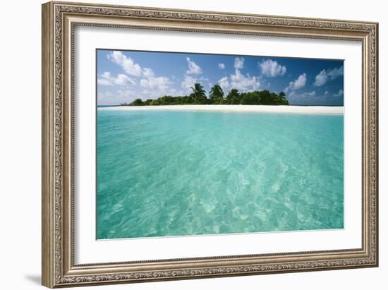 Tropical Beach-Matthew Oldfield-Framed Photographic Print