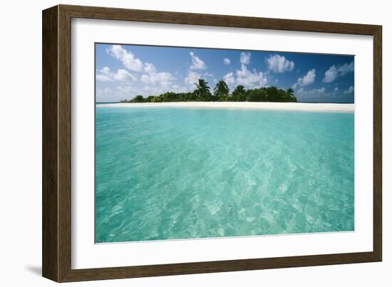 Tropical Beach-Matthew Oldfield-Framed Photographic Print