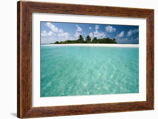 Tropical Beach-Matthew Oldfield-Framed Photographic Print