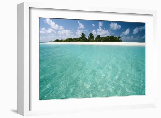 Tropical Beach-Matthew Oldfield-Framed Photographic Print