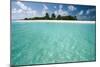 Tropical Beach-Matthew Oldfield-Mounted Photographic Print