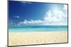 Tropical Beach-Iakov Kalinin-Mounted Photographic Print