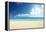 Tropical Beach-Iakov Kalinin-Framed Premier Image Canvas