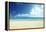 Tropical Beach-Iakov Kalinin-Framed Premier Image Canvas