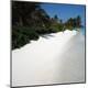 Premium Photographic Print