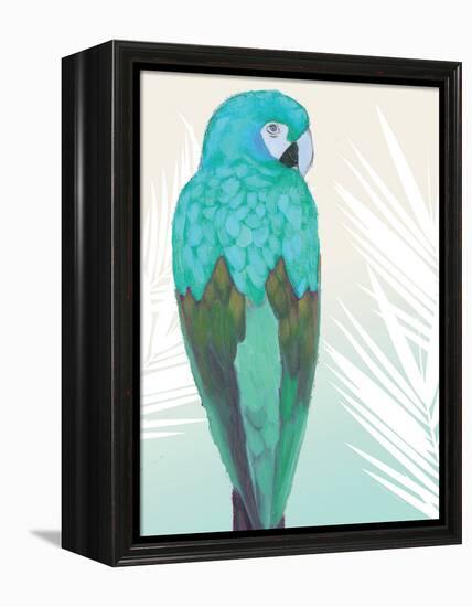 Tropical Bird 1-Marco Fabiano-Framed Stretched Canvas