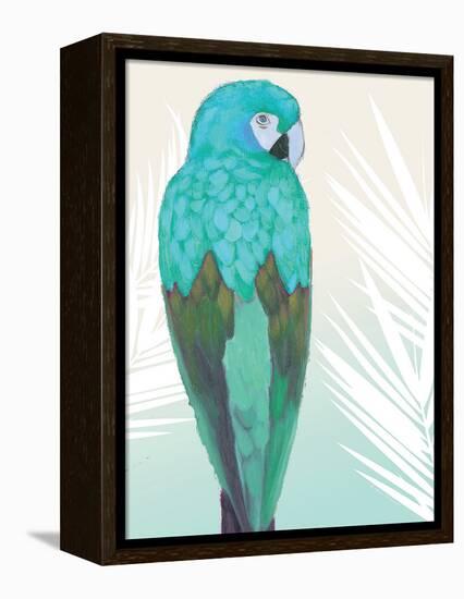 Tropical Bird 1-Marco Fabiano-Framed Stretched Canvas