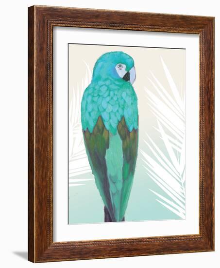 Tropical Bird 1-Marco Fabiano-Framed Art Print