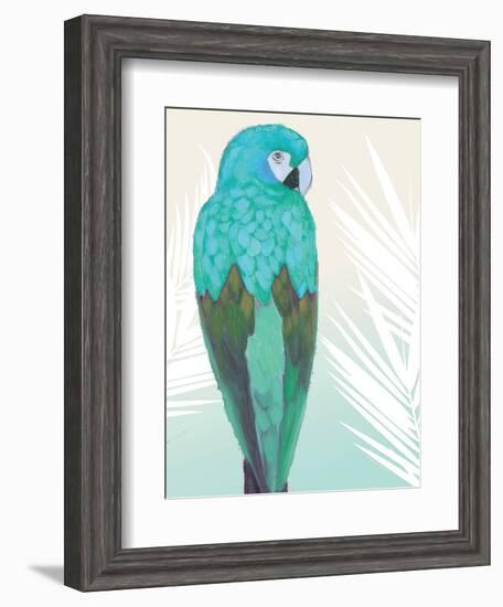 Tropical Bird 1-Marco Fabiano-Framed Premium Giclee Print