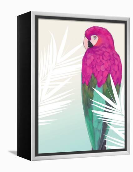 Tropical Bird 2-Marco Fabiano-Framed Stretched Canvas