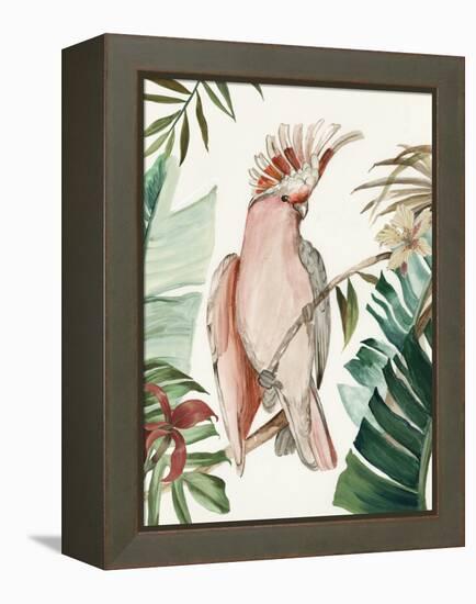 Tropical Bird I-Aimee Wilson-Framed Stretched Canvas