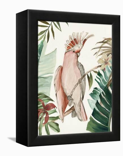 Tropical Bird I-Aimee Wilson-Framed Stretched Canvas