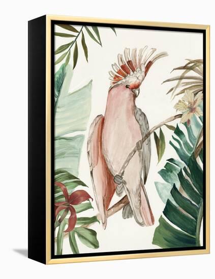 Tropical Bird I-Aimee Wilson-Framed Stretched Canvas