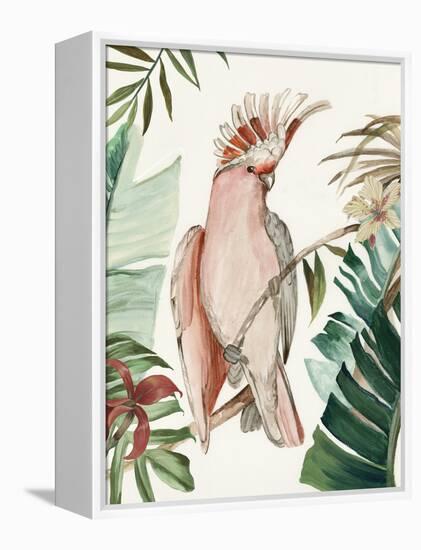 Tropical Bird I-Aimee Wilson-Framed Stretched Canvas