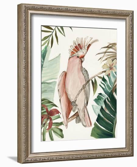 Tropical Bird I-Aimee Wilson-Framed Art Print