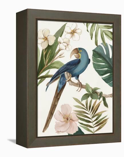 Tropical Bird II-Aimee Wilson-Framed Stretched Canvas