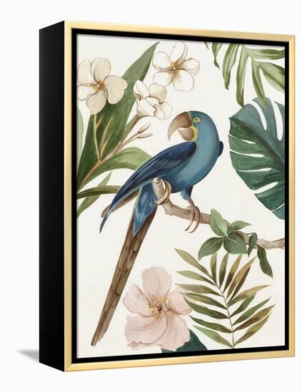 Tropical Bird II-Aimee Wilson-Framed Stretched Canvas