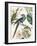 Tropical Bird II-Aimee Wilson-Framed Art Print