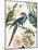 Tropical Bird II-Aimee Wilson-Mounted Art Print