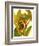 Tropical Bird of Paradise-Tim O'toole-Framed Premium Giclee Print