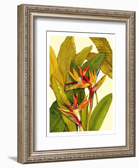 Tropical Bird of Paradise-Tim O'toole-Framed Premium Giclee Print