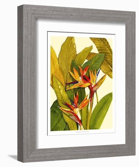 Tropical Bird of Paradise-Tim O'toole-Framed Premium Giclee Print