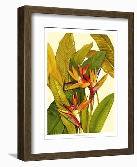 Tropical Bird of Paradise-Tim O'toole-Framed Premium Giclee Print
