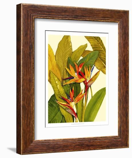 Tropical Bird of Paradise-Tim O'toole-Framed Premium Giclee Print