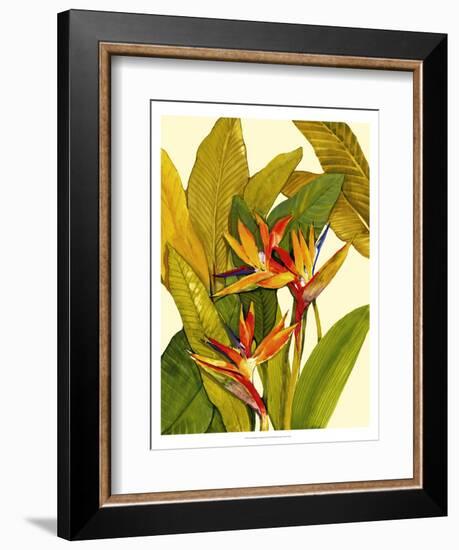 Tropical Bird of Paradise-Tim O'toole-Framed Premium Giclee Print