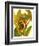 Tropical Bird of Paradise-Tim O'toole-Framed Premium Giclee Print