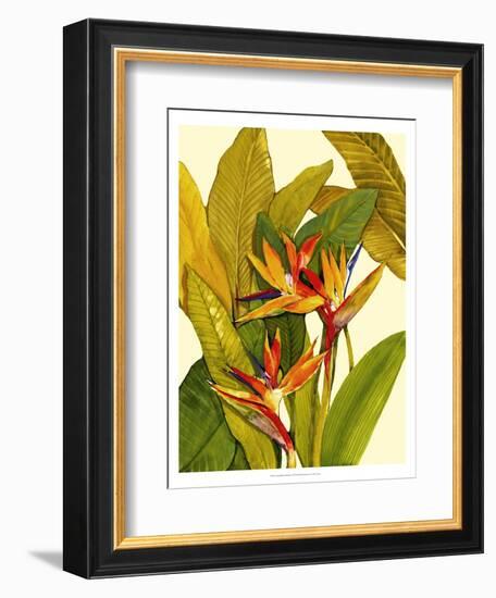 Tropical Bird of Paradise-Tim O'toole-Framed Premium Giclee Print