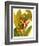 Tropical Bird of Paradise-Tim O'toole-Framed Art Print