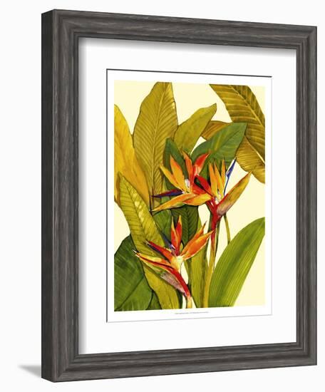 Tropical Bird of Paradise-Tim O'toole-Framed Art Print