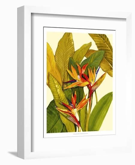 Tropical Bird of Paradise-Tim O'toole-Framed Art Print