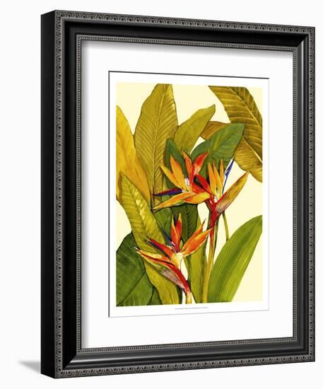 Tropical Bird of Paradise-Tim O'toole-Framed Art Print