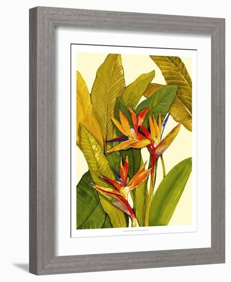 Tropical Bird of Paradise-Tim O'toole-Framed Art Print
