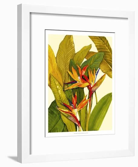 Tropical Bird of Paradise-Tim O'toole-Framed Art Print