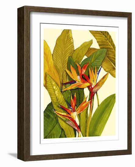 Tropical Bird of Paradise-Tim O'toole-Framed Art Print